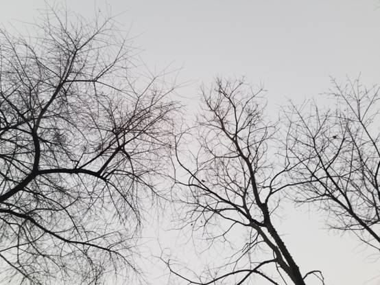 1599550635445078025.jpg 2.1.jpg